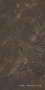 Керамогранит для пола и стены Ariostea Marmi Classici Pulpis Grey Luc60x120 PL612515