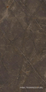 Керамогранит для пола и стены Ariostea Marmi Classici Pulpis Grey Luc60x120 PL612515