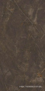 Керамогранит для пола и стены Ariostea Marmi Classici Pulpis Grey Luc60x120 PL612515
