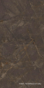 Керамогранит для пола и стены Ariostea Marmi Classici Pulpis Grey Luc60x120 PL612515