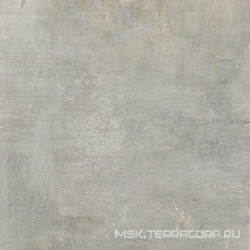 Cult Grey Ret |81x81