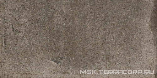 Feng Shui XX |20x40