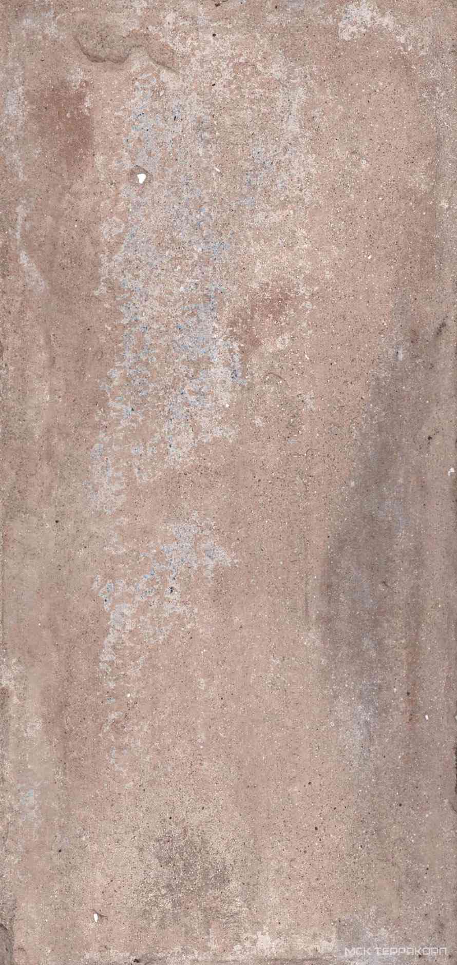 Bristol Rust XX |17x34