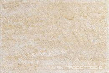 Ain Jet Sage XX |33.3x50