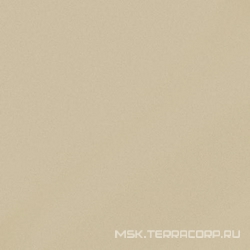 Monocolor CF 100 Аворио MR матовый. XX l60x60