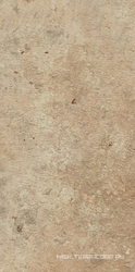 Aix Beige  20mm XX 22,5x45,4