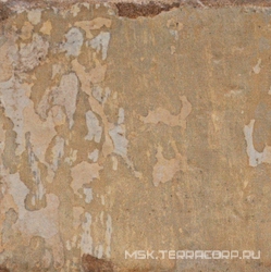 Mojito ZZ |20x20