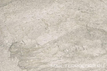 Oyster Silver XX |40x60