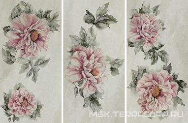 Peony (mix 3) rett XX |60x120