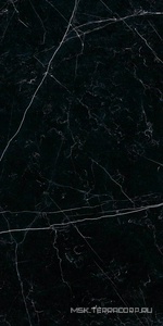 Керамогранит для пола и стены Ariostea Marmi Classici Nero Marquinia Lev Silk 60x120 PK612547