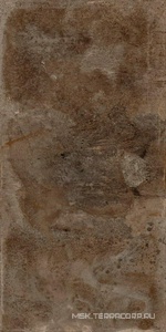 Керамогранит для пола и стены Ariostea Ultra Metal Metal Brown Zinc Prelucidato (Soft) 6 mm 100x300 UMT6S310500