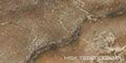 Wild Walnut 714 XX |7.3x14.6