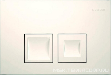 Клавиша двойного смыва "50" для инсталляции арт.458.160.00.1, цвет белый ZZ Geberit Delta 115.135.11.1