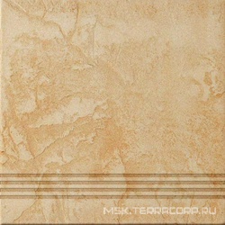 Грес Antika AN01 ступень ZZ |30x30