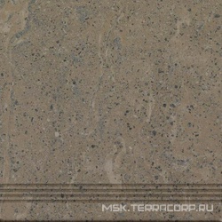 Ступень проходная Trend 02 непол. (48926,59586)ZZ |40x40
