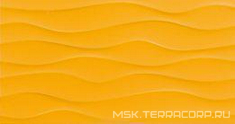 Acoustic Maiz XX |31.6x59.2