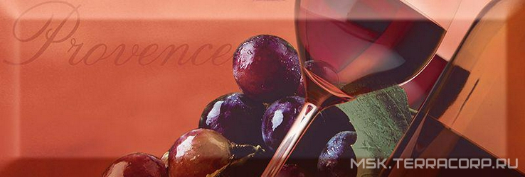 Decor Wine 05 B XX |10x30