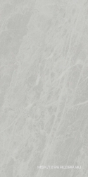 Керамогранит для пола и стены Ariostea Marmi Classici Gris De Savoie Luc 60x120 PL612498