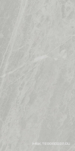 Керамогранит для пола и стены Ariostea Marmi Classici Gris De Savoie Luc 60x120 PL612498