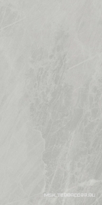 Керамогранит для пола и стены Ariostea Marmi Classici Gris De Savoie Luc 60x120 PL612498