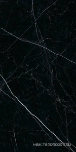 Керамогранит для пола и стены Ariostea Marmi Classici Nero Marquinia Luc  60x120 PL612547