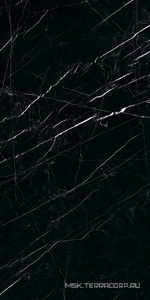 Керамогранит для пола и стены Ariostea Marmi Classici Nero Marquinia Luc  60x120 PL612547