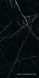 Керамогранит для пола и стены Ariostea Marmi Classici Nero Marquinia Luc  60x120 PL612547