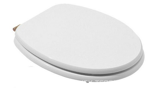 Сиденье для унитаза, с микролифтом, (цв.белый, петли цв.бронза),  ZZ Azzurra Charme CHA1800/F bi/br