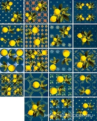 Vita Giardino Blu Mix Luc ZZ |20x20