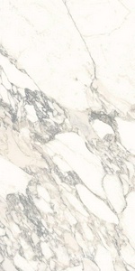 Керамогранит для пола и стены Ariostea Marmi Classici Arabescato Classico Soft 60x120 P612513