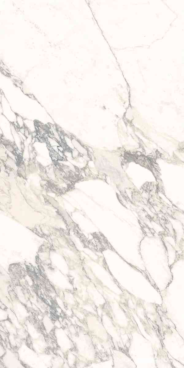 Arabescato Classico Soft |60x120