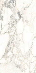 Керамогранит для пола и стены Ariostea Marmi Classici Arabescato Classico Soft 60x120 P612513