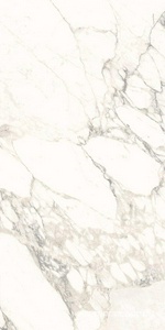 Керамогранит для пола и стены Ariostea Marmi Classici Arabescato Classico Soft 60x120 P612513