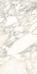 Керамогранит для пола и стены Ariostea Marmi Classici Arabescato Classico Soft 60x120 P612513