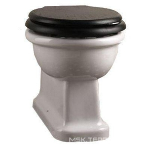 Унитаз напольный пристенный 36,5х54хh40см, без сиденья, для встр. в стену бачка, крепл. к полу в компл.,  ZZ Devon & Devon Etoile IBWCETBTW