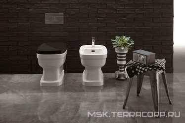 Унитаз пристенный 54х37хh41,5см, установка со скрытым бачком смыва, без сиденья, и креплен.к полу, (цв. белый)  ZZ Simas Evolution EVO01