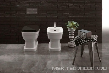 Унитаз пристенный 54х37хh41,5см, установка со скрытым бачком смыва, без сиденья, и креплен.к полу, (цв. белый)  ZZ Simas Evolution EVO01