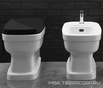 Унитаз пристенный 54х37хh41,5см, установка со скрытым бачком смыва, без сиденья, и креплен.к полу, (цв. белый)  ZZ Simas Evolution EVO01