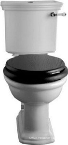 Бачок для унитаза "Компакт", (без механизма и ручки слива)  ZZ Devon & Devon New Etoile IBCZNET