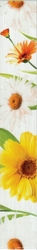 Бордюр Fiori РомашкаXXI6х40
