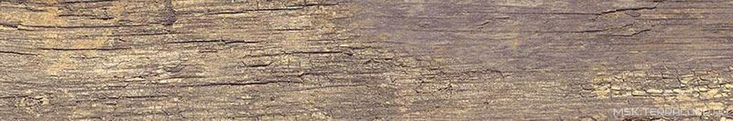 Century Noce RT XX |20x120