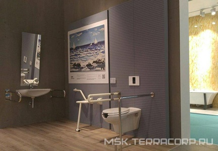 Поручень захватный для инвалидов, настенный ZZ Creavit Универсал TB310