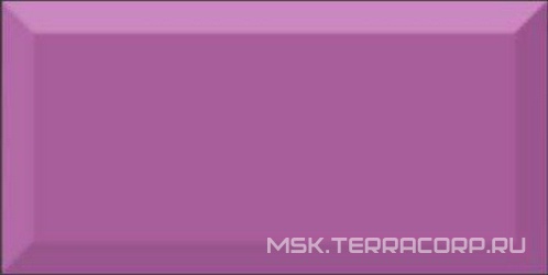 Monocolor Morado Biselado Brillo ZZ |10x20