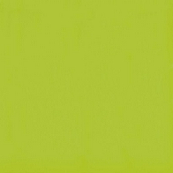 Flexi A Green Mat (п.п.) ZZ |30x30