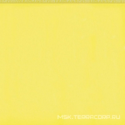 Flexi 1 Yellow Bri ZZ |30x30