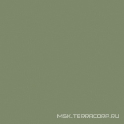 Rainbow RW06 зелёный неполир. ZZ60x60