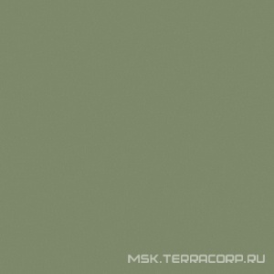 Керамогранит для пола Estima rainbow  RW06 зелёный неполир. ZZ60x60 Зеленый 23033