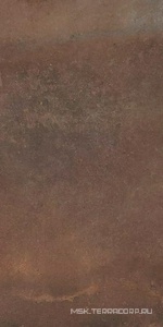 Керамогранит для пола и стены La Faenza CottoFaenza Cottofaenza36CT (п.п) 30x60 156163