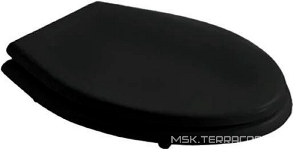 Сиденье для унитаза, с микролифтом, (цв. , петли цв. хром),  ZZ Galassia Ethos 8482NE