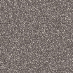 Гранит Technica standart 12мм ST 116 ZZ |30x30